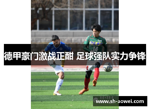 德甲豪门激战正酣 足球强队实力争锋 德甲豪门激战正酣 足球强队实力争锋