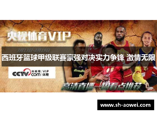 西班牙篮球甲级联赛豪强对决实力争锋 激情无限 西班牙篮球甲级联赛豪强对决实力争锋 激情无限