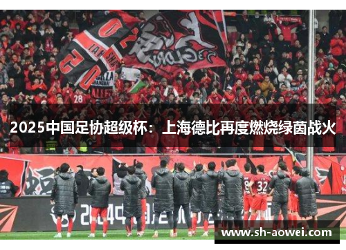 2025中国足协超级杯:上海德比再度燃烧绿茵战火 2025中国足协超级杯:上海德比再度燃烧绿茵战火