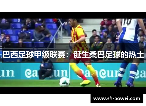 巴西足球甲级联赛:诞生桑巴足球的热土 巴西足球甲级联赛:诞生桑巴足球的热土
