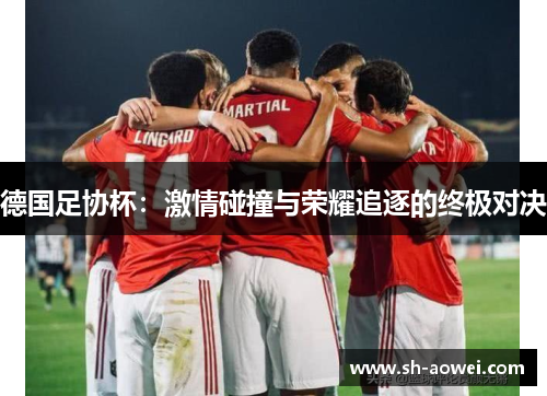 德国足协杯:激情碰撞与荣耀追逐的终极对决 德国足协杯:激情碰撞与荣耀追逐的终极对决