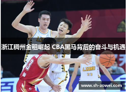 浙江稠州金租崛起 CBA黑马背后的奋斗与机遇 浙江稠州金租崛起 CBA黑马背后的奋斗与机遇